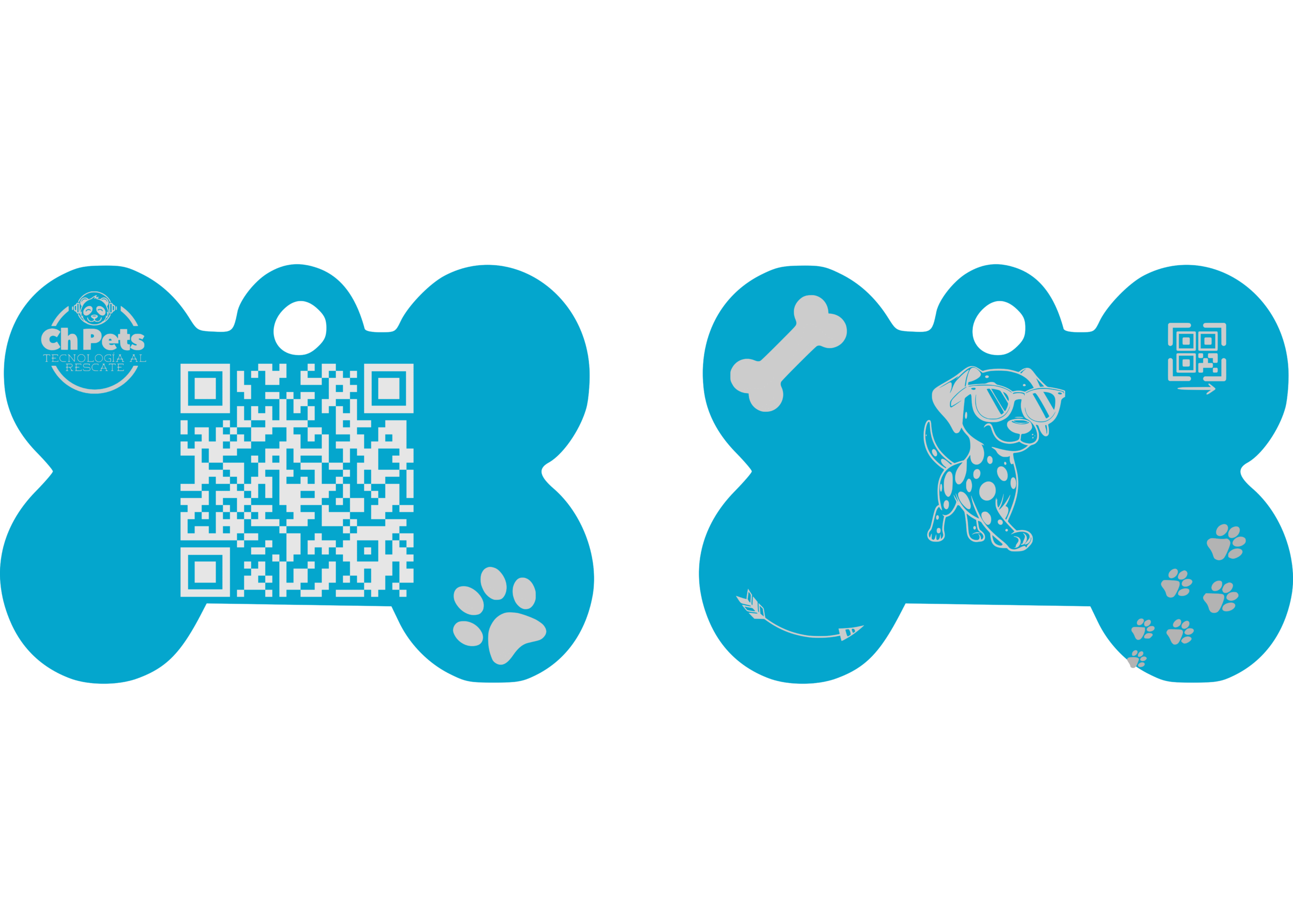 Placa QR Hueso Celeste Grande D2 - Image 2