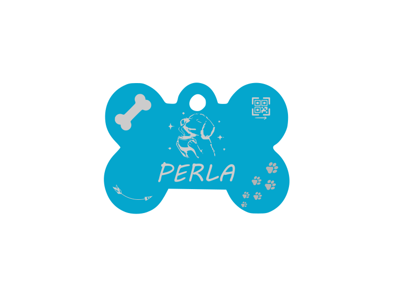 Placa QR Hueso Celeste Grande D1 - Image 2